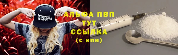 гашик Ростов